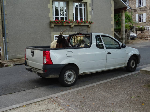 Soucoupes volantes !!!...Vol 17 DSC01888