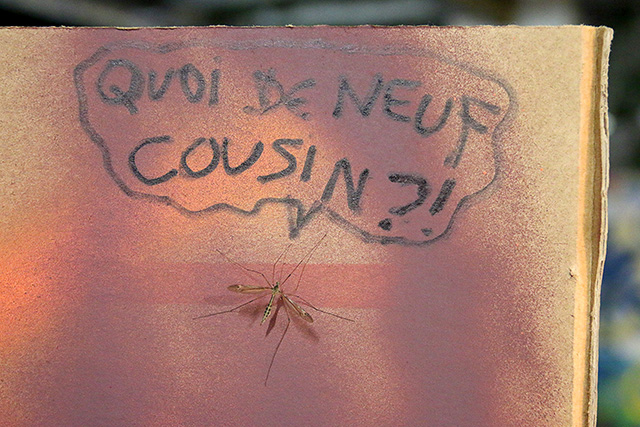 uzerche_1